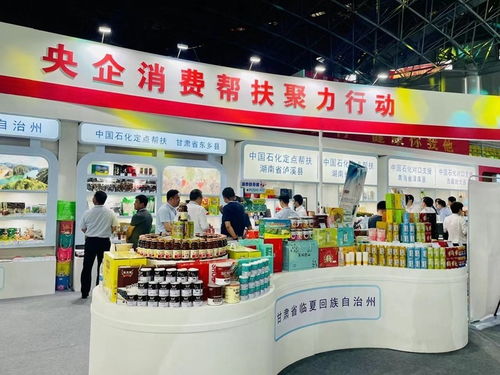 展销岳西新农辉——2023年乡村振兴产品展览推介会盛启